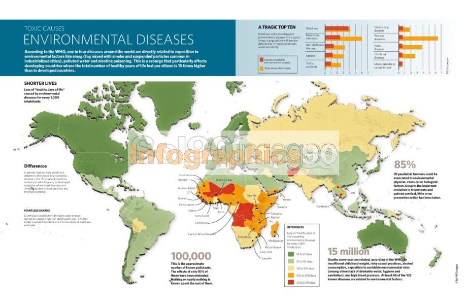 Infografía Enfermedades Ambientales Infographics90 3808