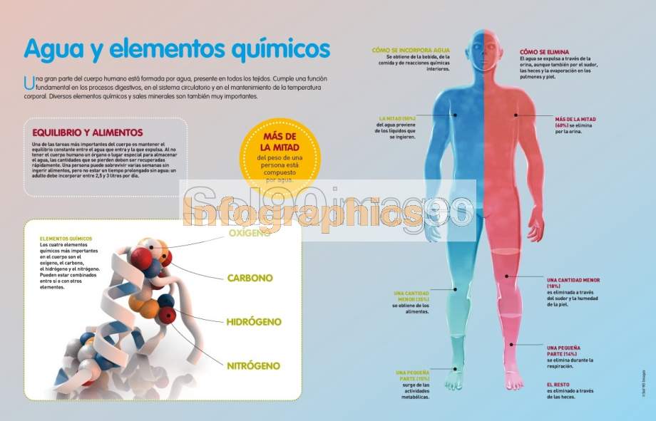 Infografía Agua Y Elementos Químicos Infographics90 0701