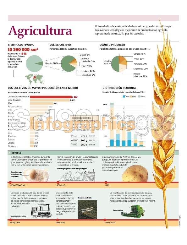 Infografía Agricultura | Infographics90