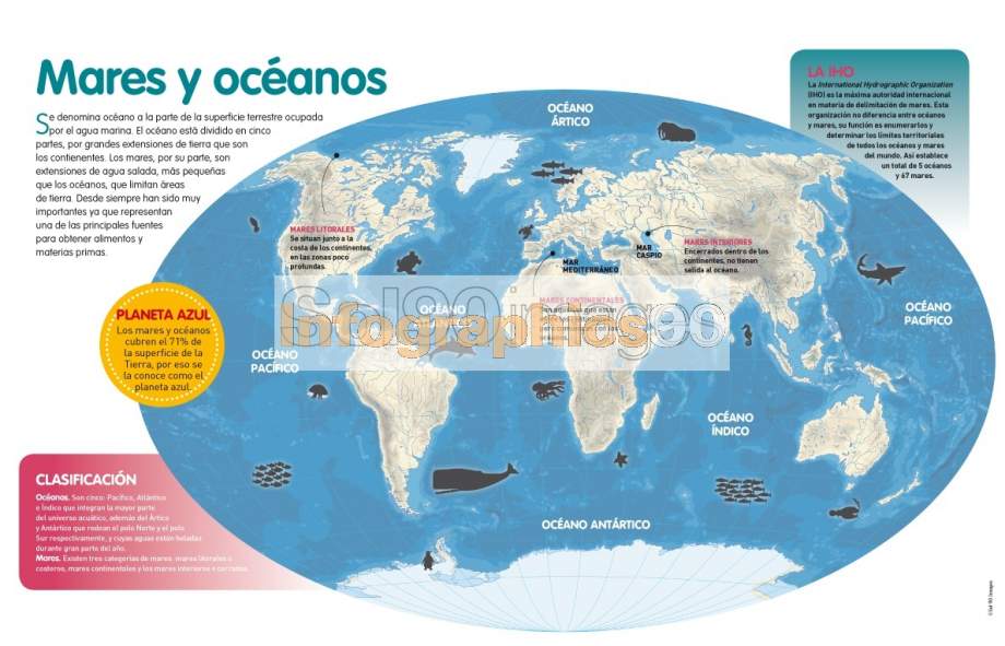 Mares y océanos del mundo Definiciones y conceptos