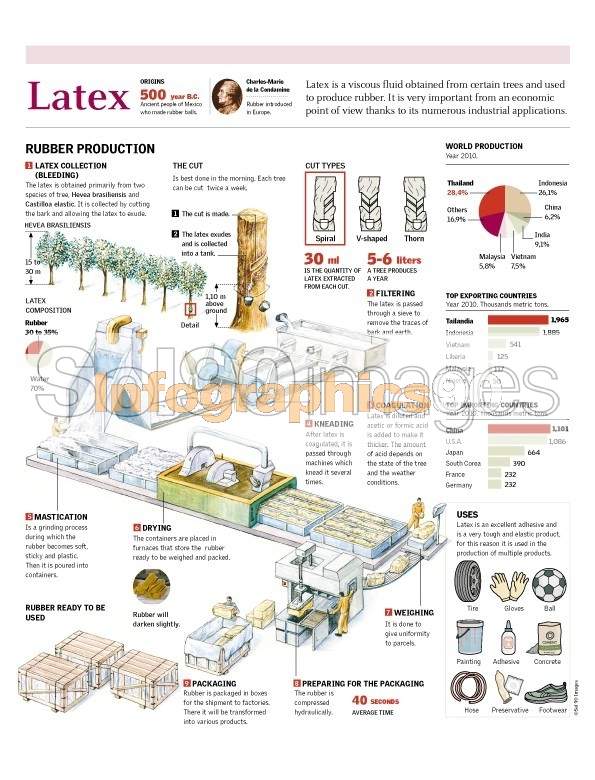 Infografía Látex | Infographics90