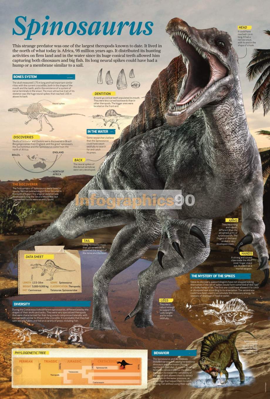 Infographics Spinosaurus | Infographics90