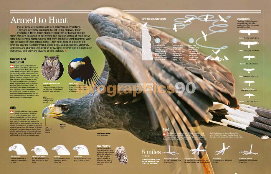 Infographics Armed To Hunt Infographics90 infographics-armed-to-hunt-infographics90