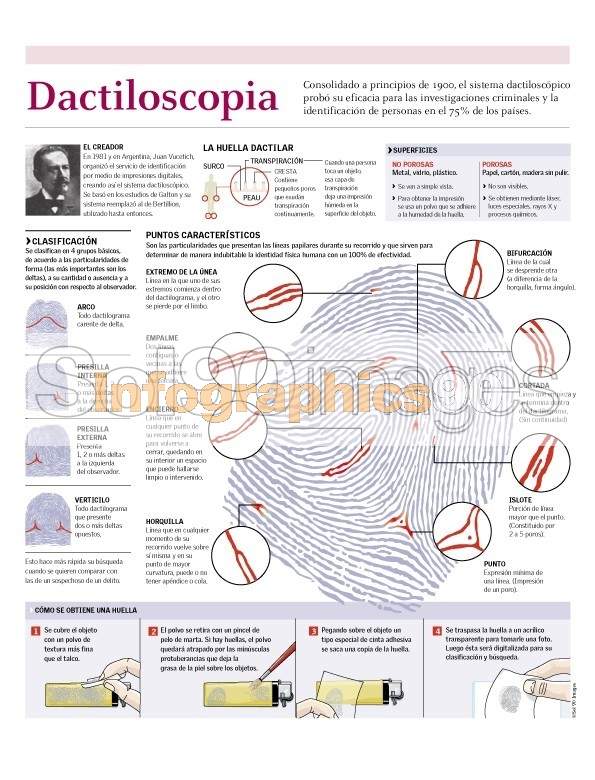 Infografía Dactiloscopia | Infographics90