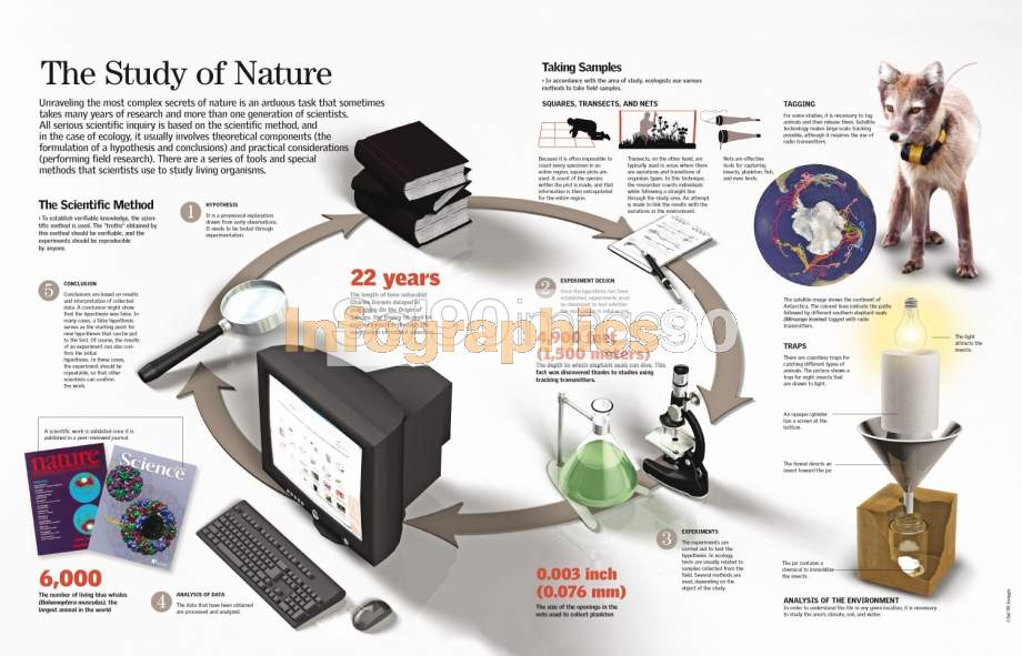 nature of science infographic