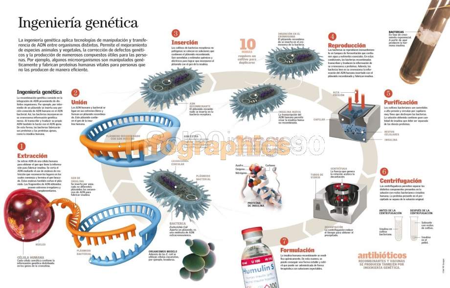 Aplicaciones de ingeniería Genética YouTube