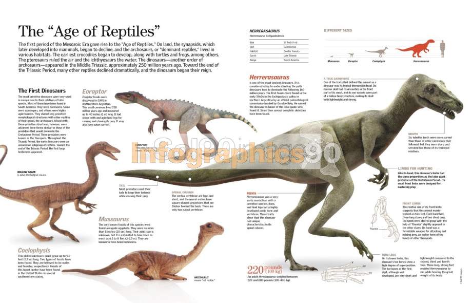 Infographics The Age Of Reptiles | Infographics90