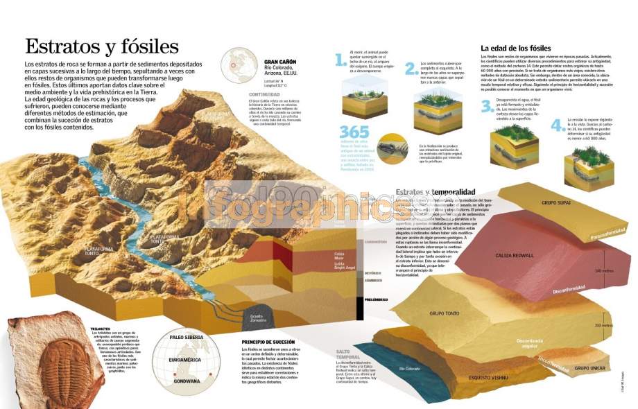 Infografía Estratos Y Fósiles Infographics90 Infografía Estratos Y Fósiles Infographics90