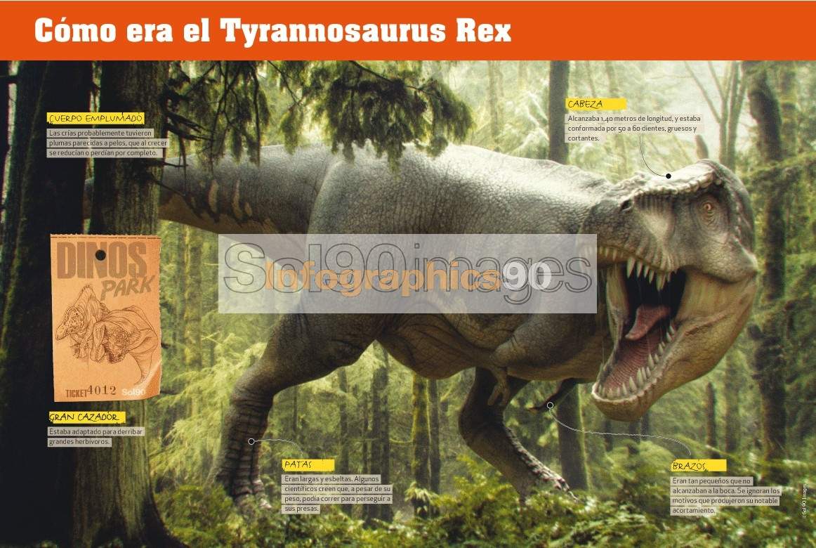 Infograf a C mo Era El Tyrannosaurus Rex Infographics90 infograf-a-c-mo-era-el-tyrannosaurus-rex-infographics90