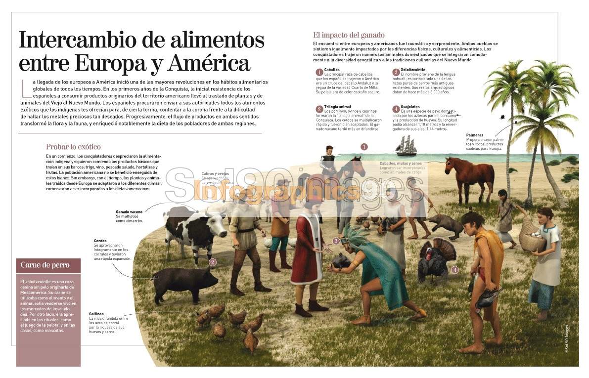 Intercambio De Alimentos Entre Europa Y America