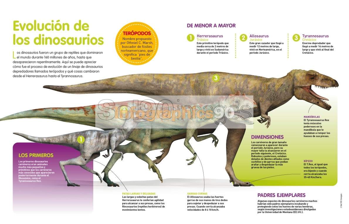 La fascinante teoría de la evolución de los dinosaurios: descubre su historia_teoria_online Teoria de la evolucion de los dinosaurios_teoria_online