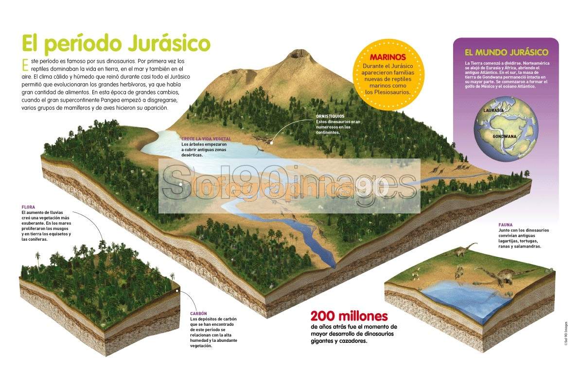 Infografía El Período Jurásico Infographics90