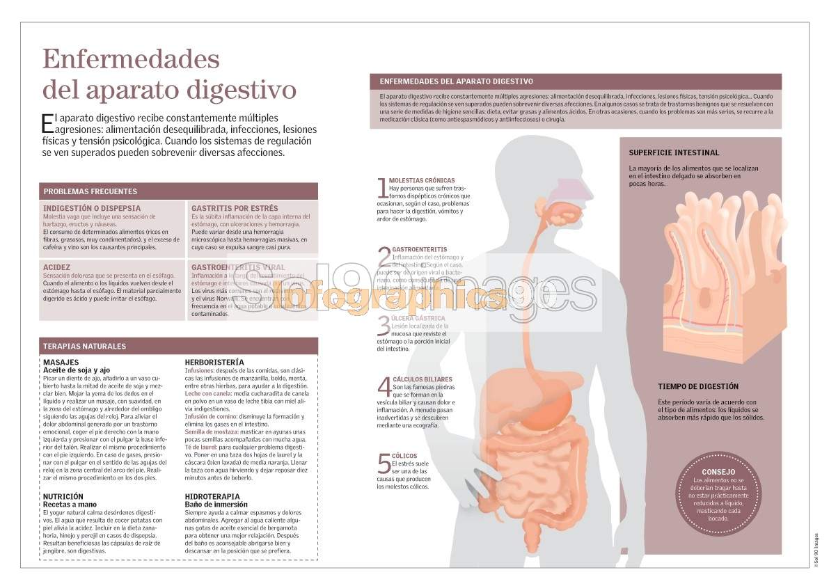 Imagenes Enfermedades Sistema Digestivo