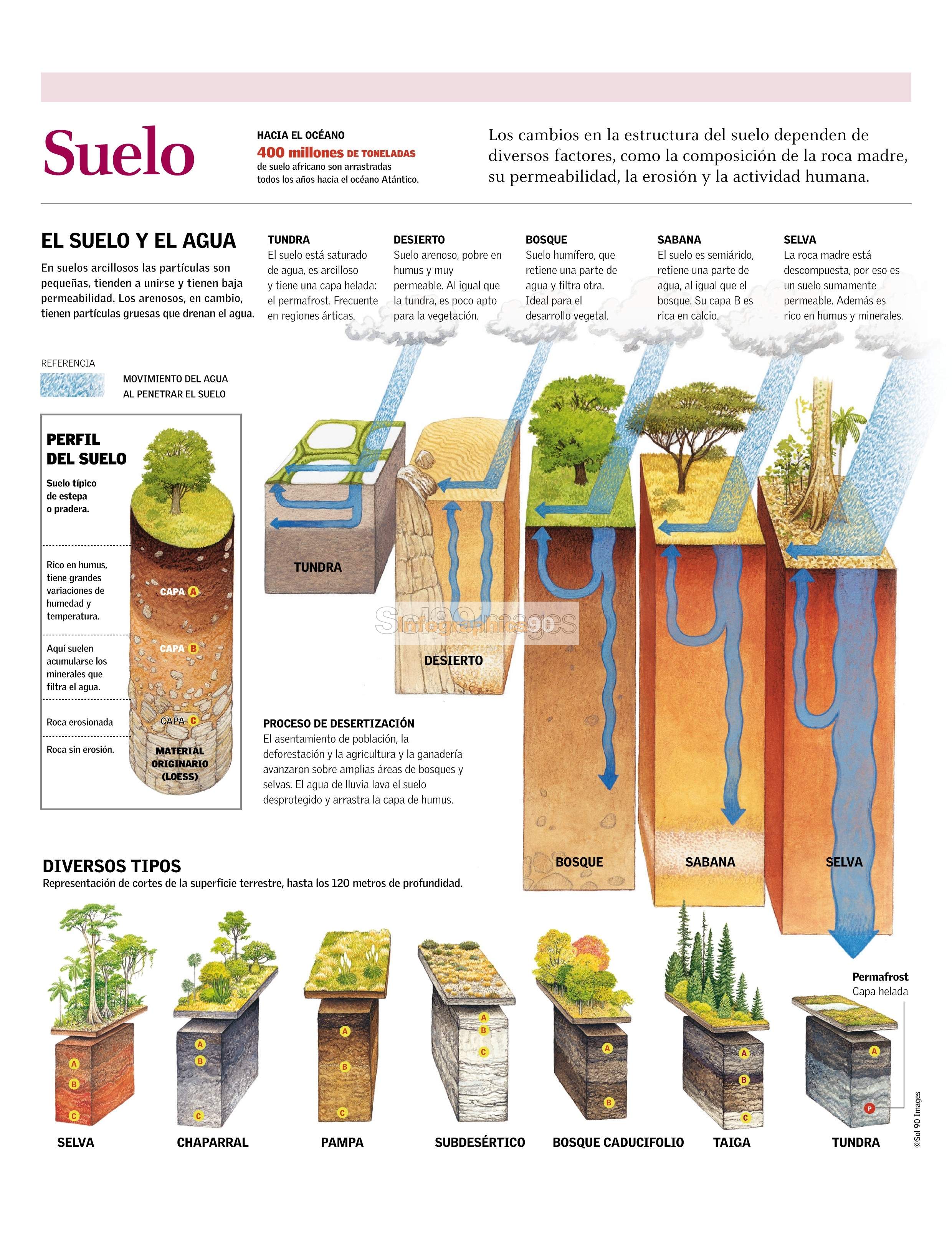 Infografía Suelo | Infographics90