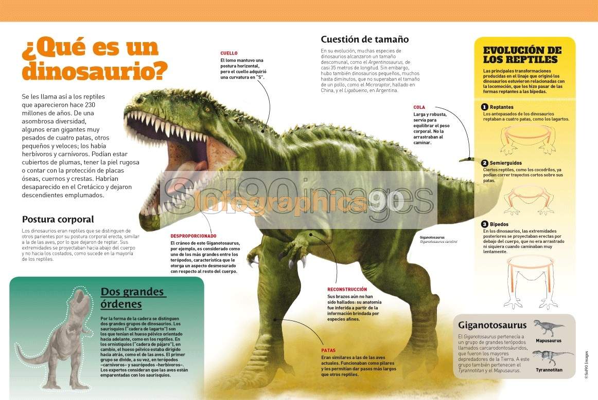 Infografía ¿qué Es Un Dinosaurio? Infographics90