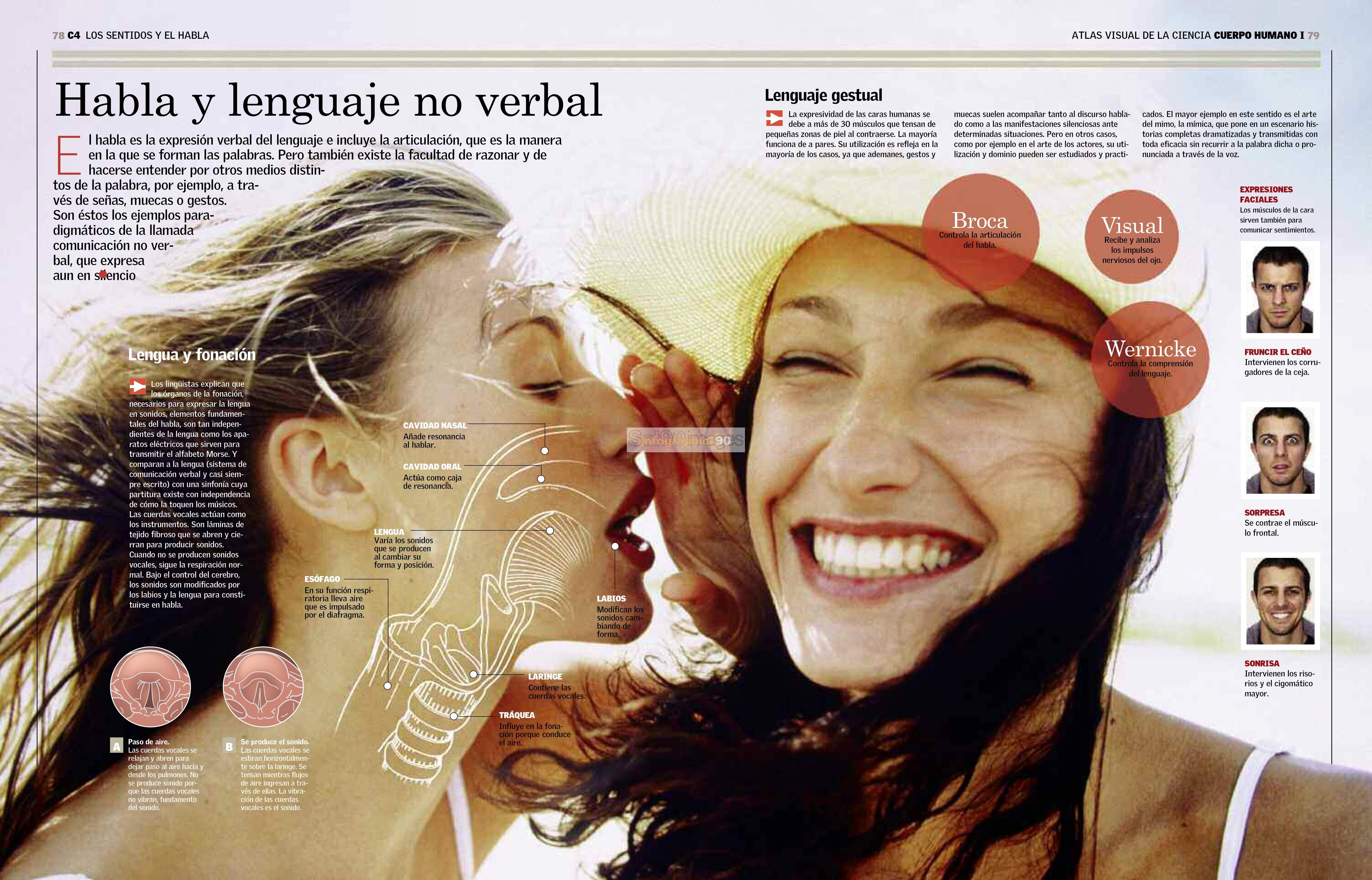 Lenguaje No Verbal