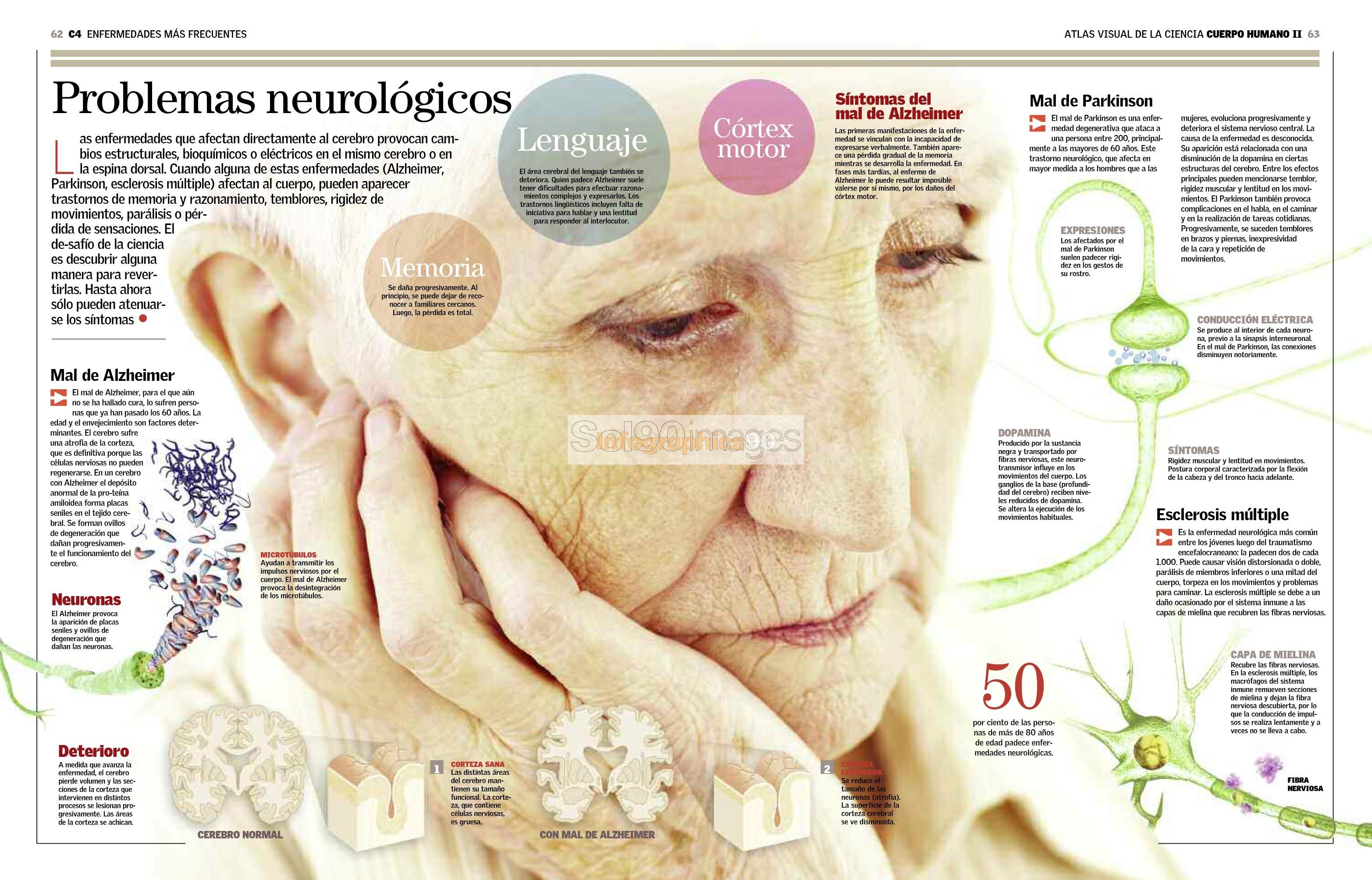 O Que é Problemas Neurológicos - ZULEDU
