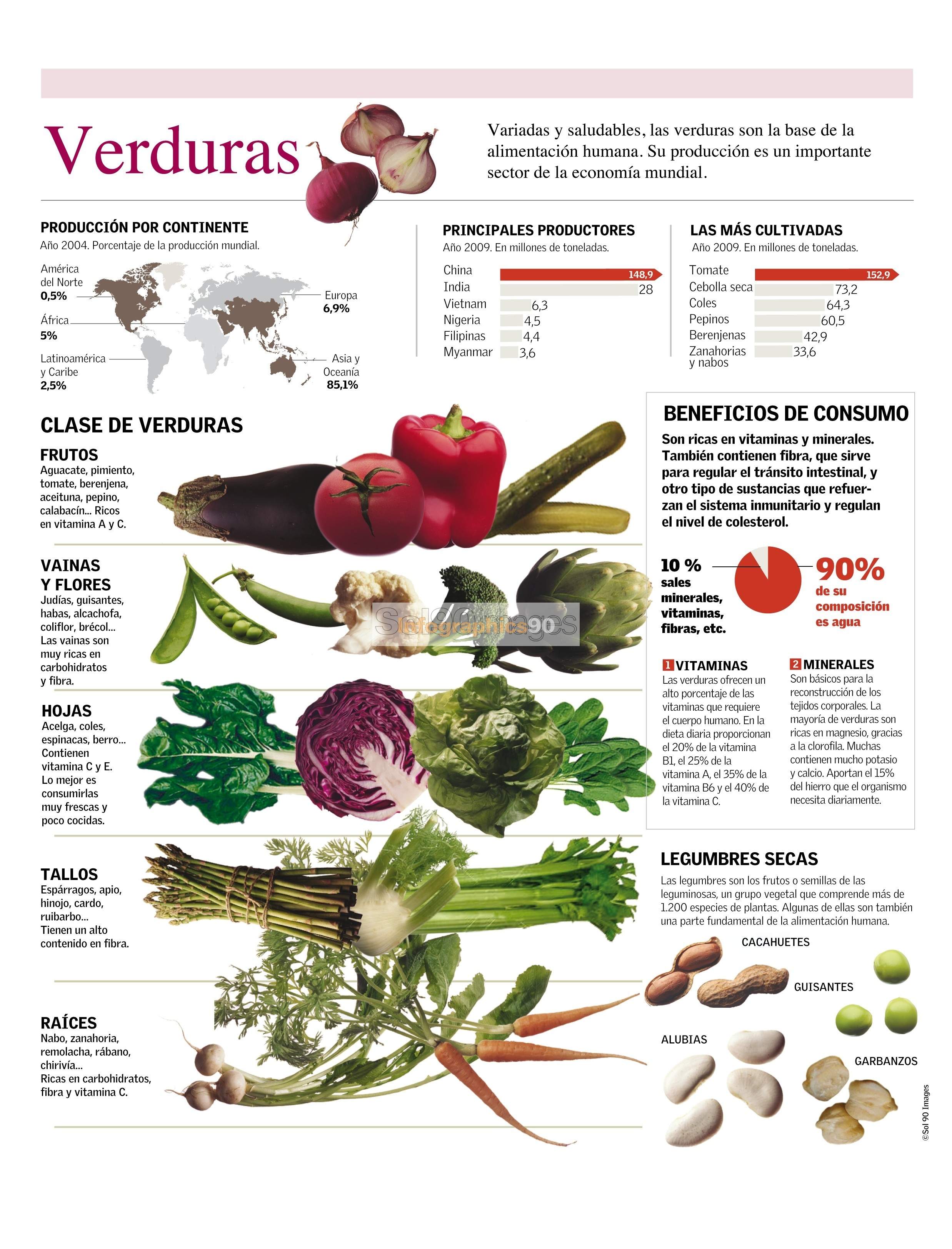Infografía Verduras Infographics90 Infografía Verduras Infographics90