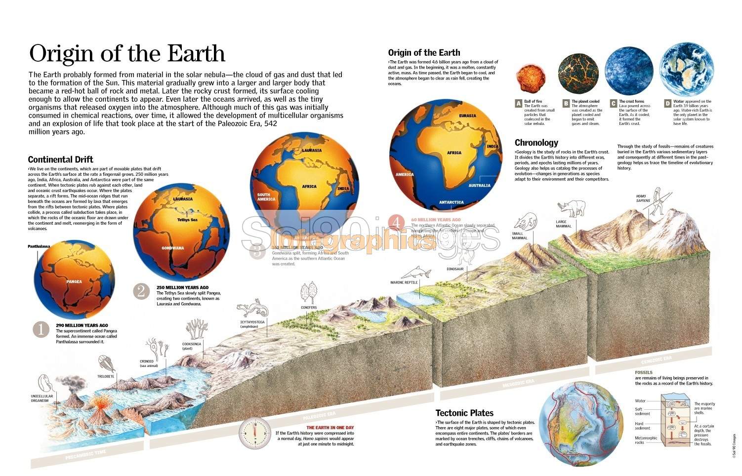 Infografía Origen De La Tierra | Infographics90