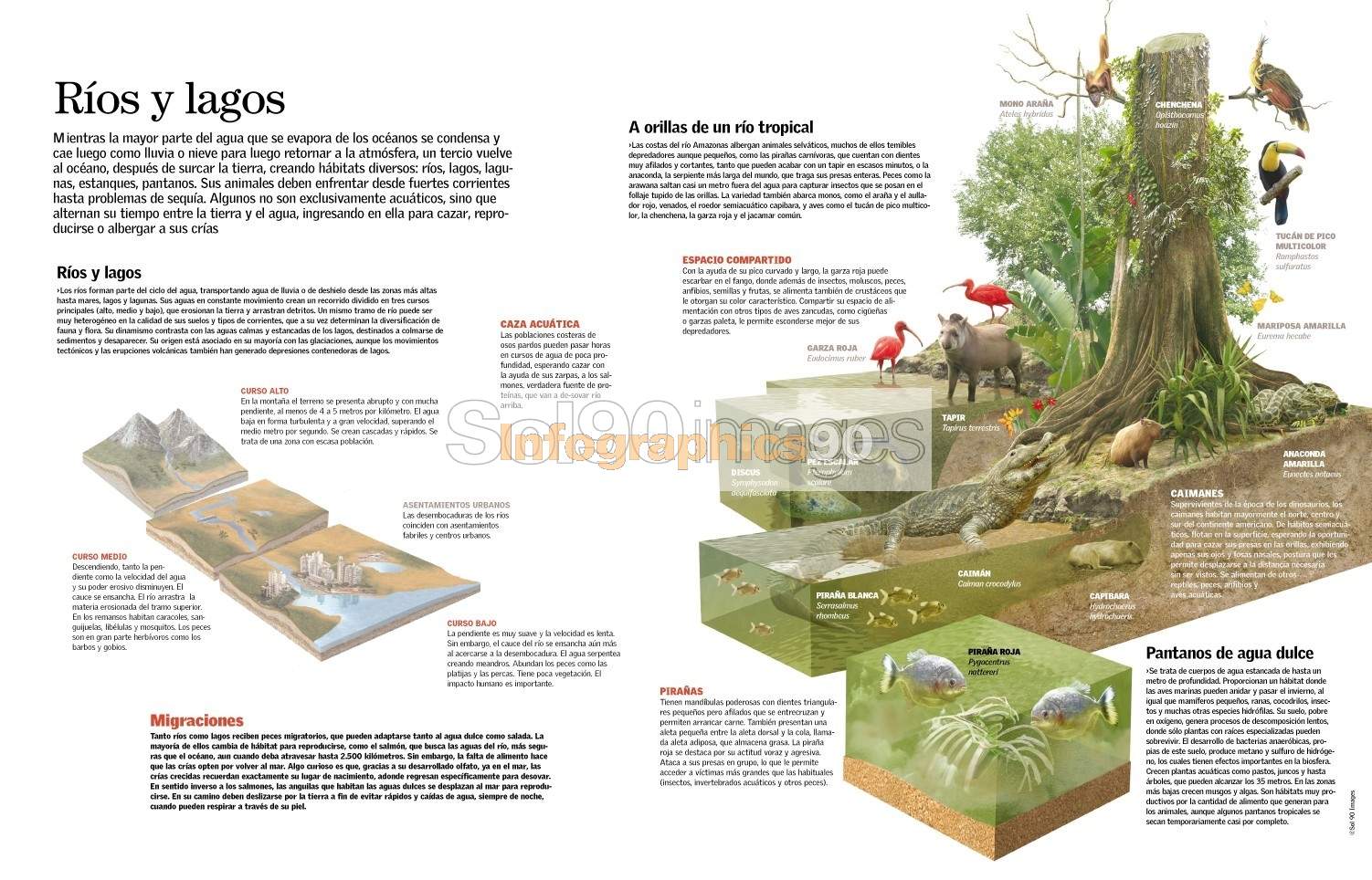 Infografía Ríos Y Lagos | Infographics90