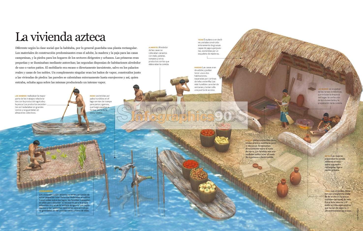 Infografía La Vivienda Azteca Infographics90
